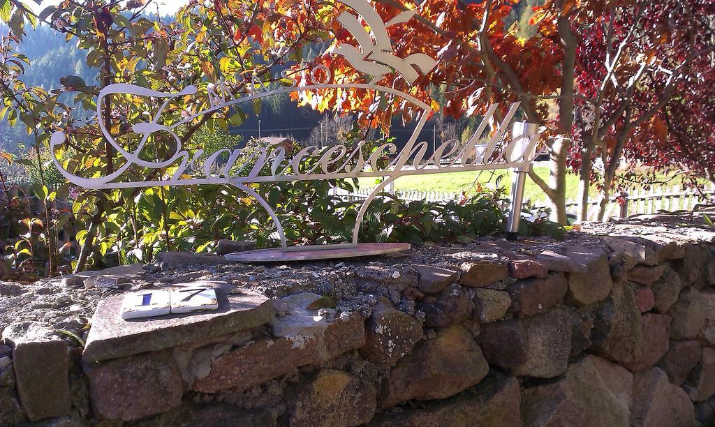 Maso Franceschella Bed & Breakfast Carano  Bagian luar foto