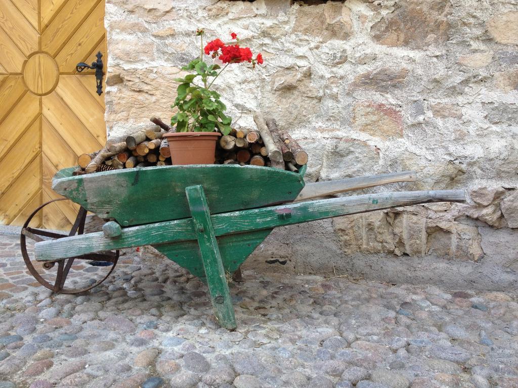 Maso Franceschella Bed & Breakfast Carano  Bagian luar foto
